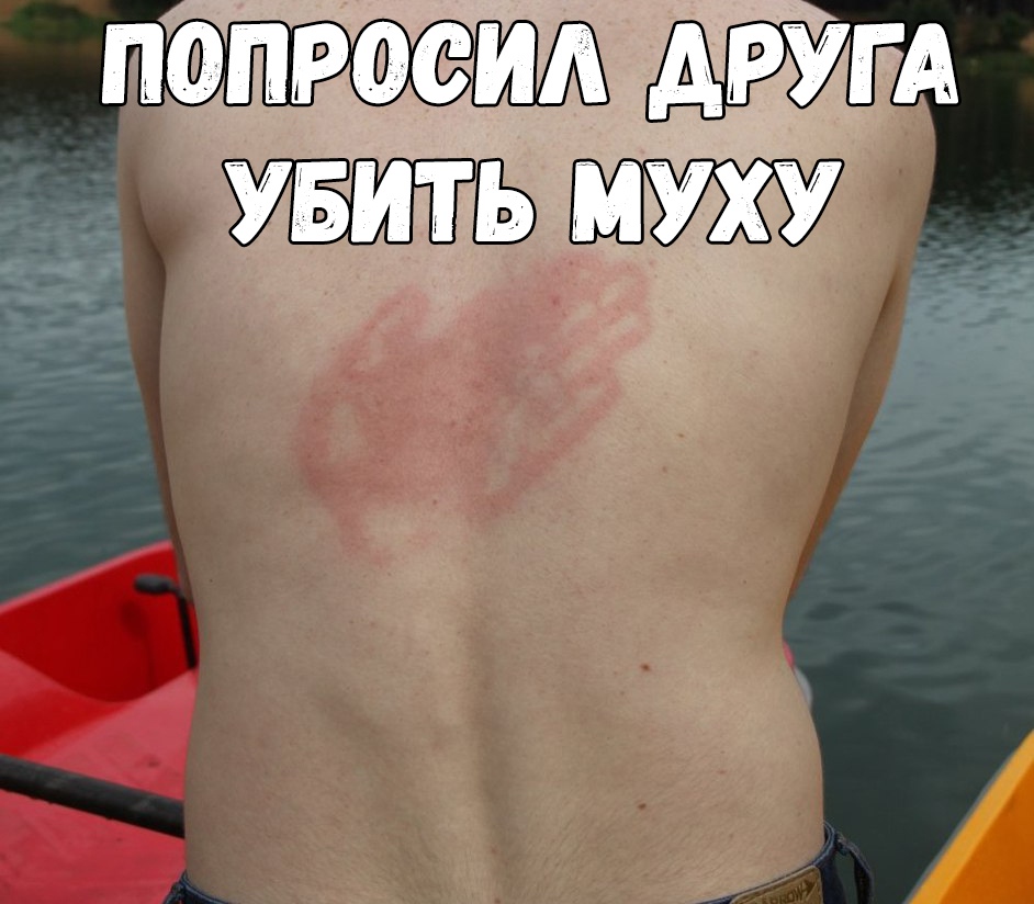 попросил АРУГА увить муху