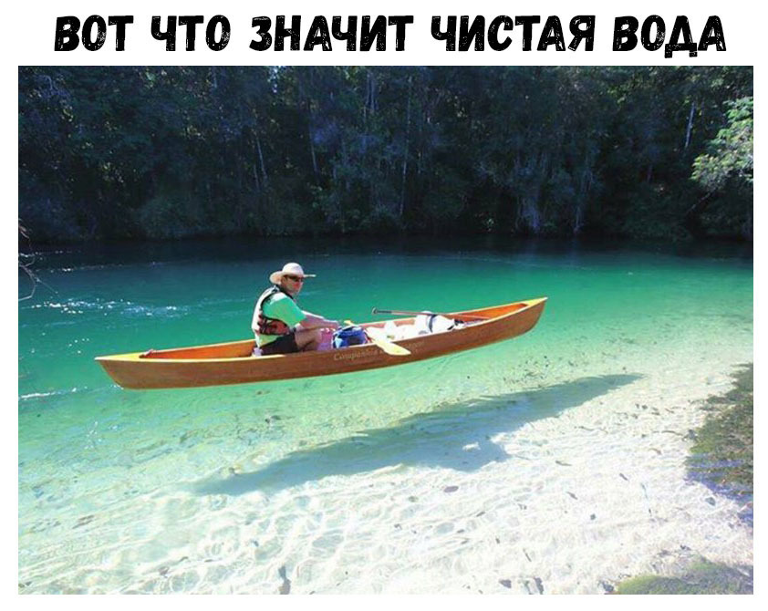 ВОТ ЧТО ЗАЧИТ ЧИСТАЯ ВОДА