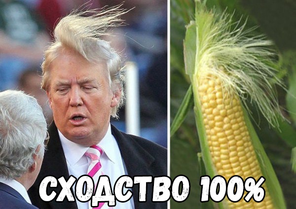 Шхтцо 166