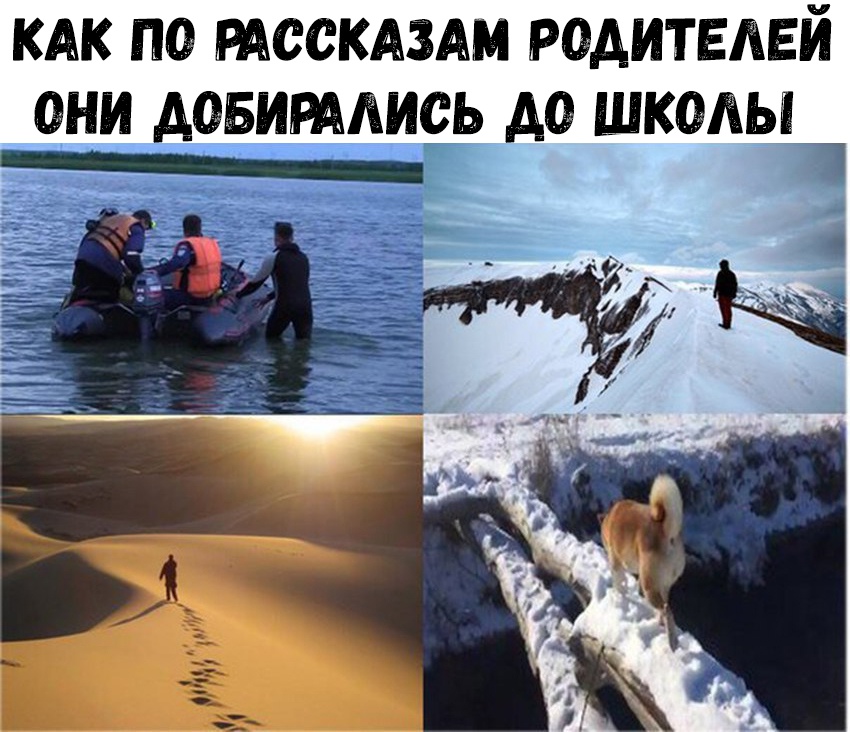 КАК ПО РАССКАЗАМ РОАИТЕАЕЙ ОНИ АОБИРАЛИСЬ А0 ШКОЛЫ