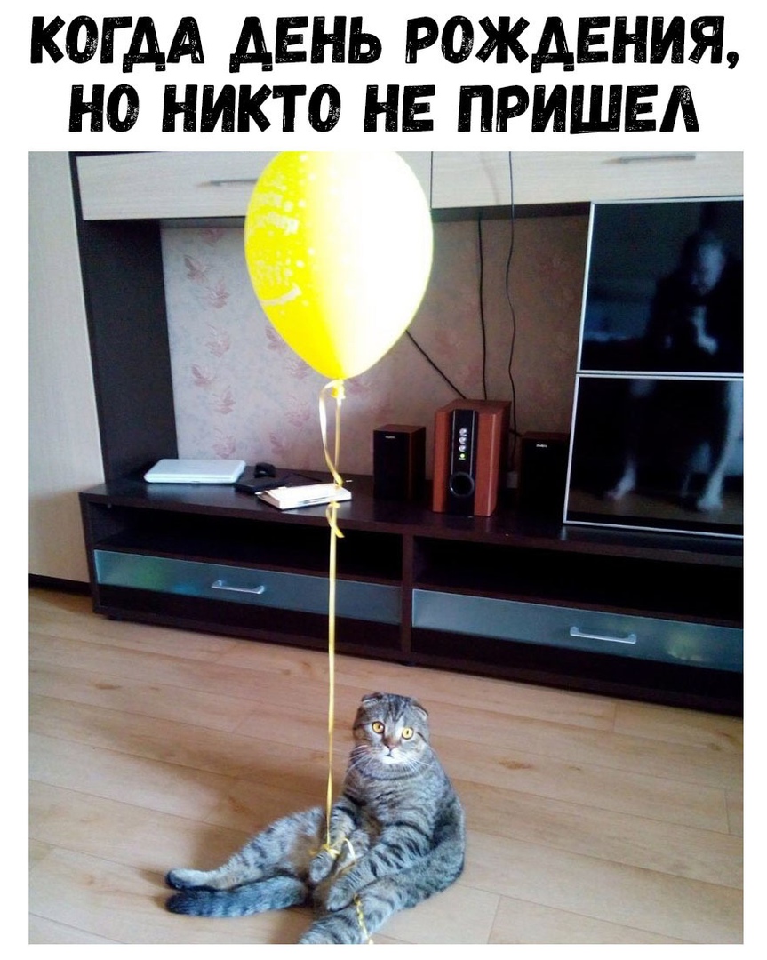 КОГДА ДЕНЬ РОЖДЕНИЯ Нд НИКТО НЕ ПРИШЕЛ