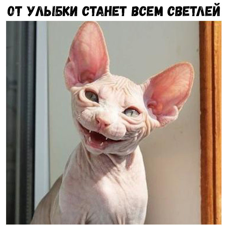ОТ УЛЫБКИ СТАНЕТ ВСЕМ СВЕТАЕЙ