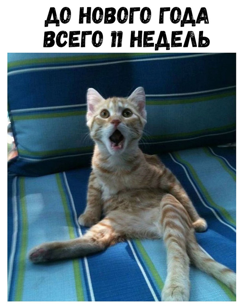 ДО НОВОГО Г ОДА ВОЕГ О НЕАЕАЬ