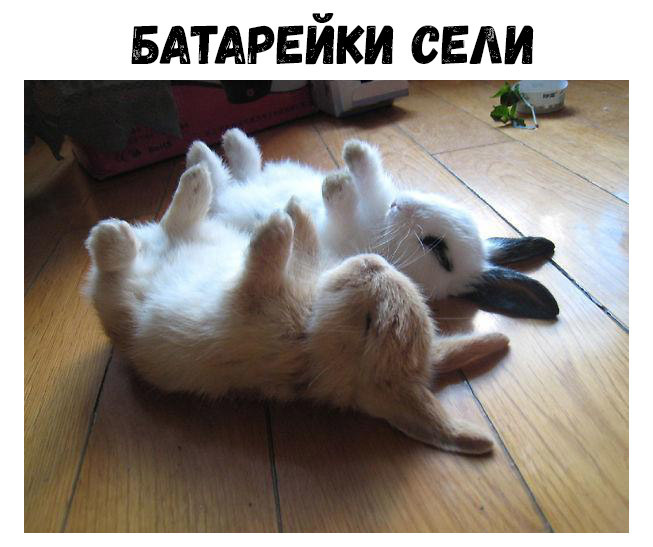 БАТАРЕЙКИ сЕди