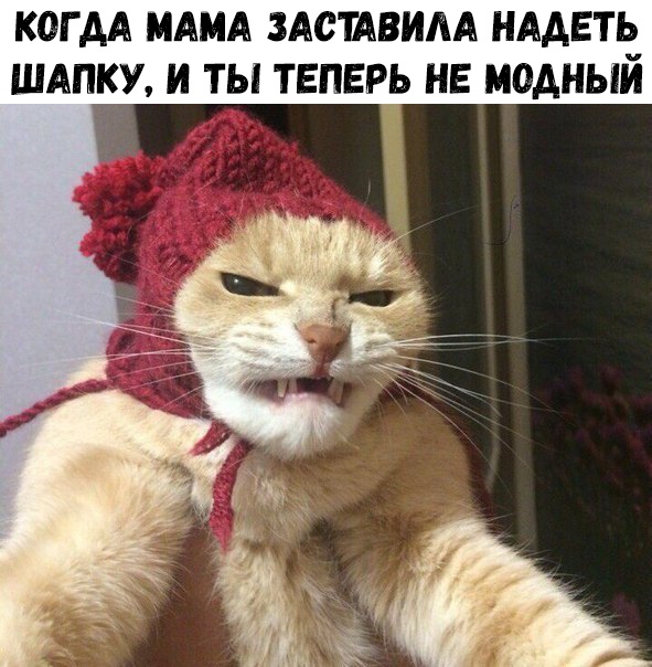 когдд мдм здстдвим нддвть шдпкх и ты теперь не модный