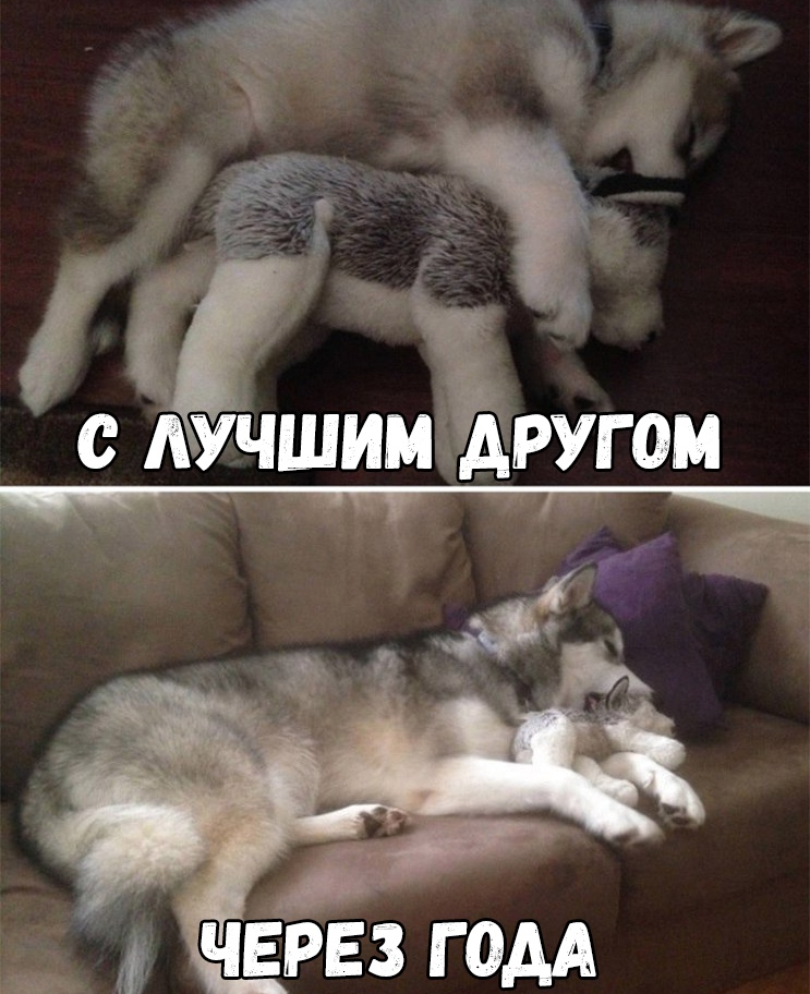 через гом