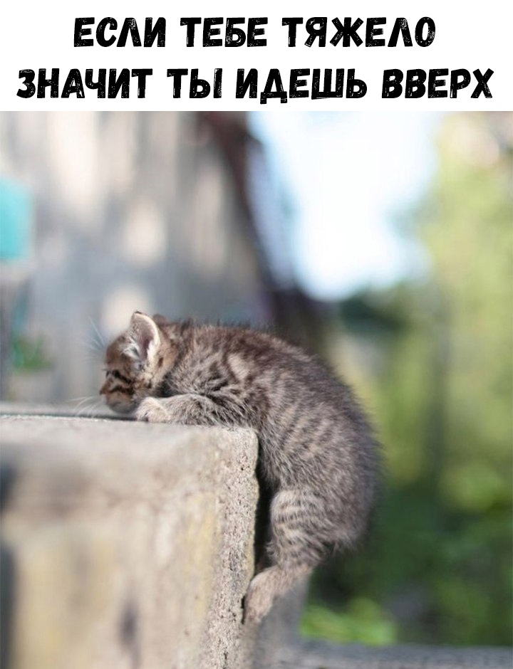 ЕСАИ ТЕБЕ ТЯЖЕАО ЗНАЧИТ ТЫ ИАЕШЬ ВВЕРХ