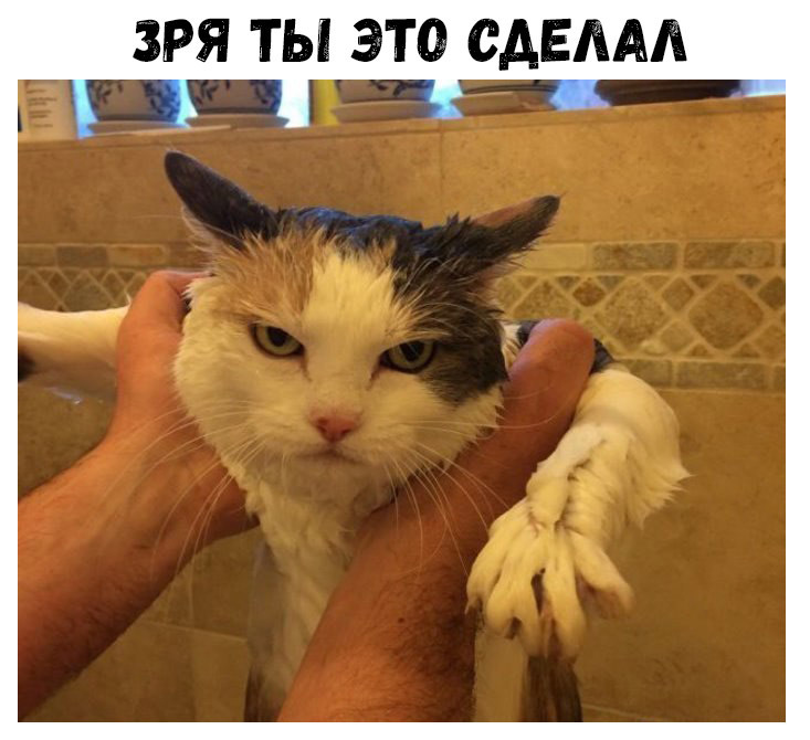 ЗРЯ ТЫ ЭТО СДЕЛАЛ