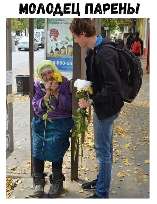 молодец пдрвны