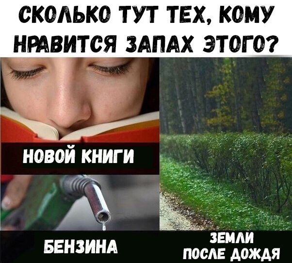 СКОЛЬКО ТУТ ТЕХ КОМУ НРАВИТСЯ ЗАПАХ ЭТОГО новой книги Земли БЕНЗИНА ПОСЛЕ дождя