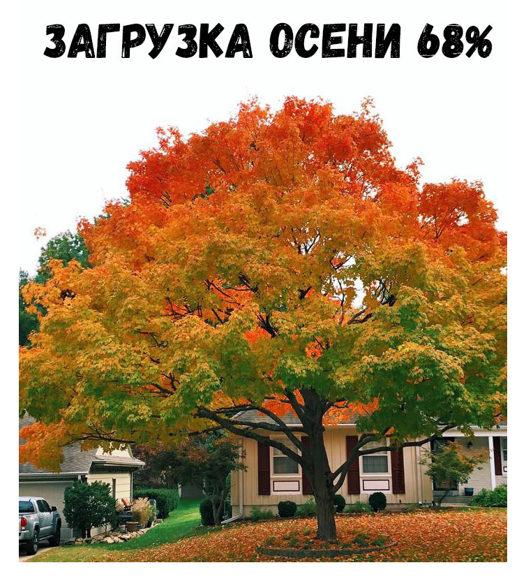 ЗАГРУЗКА ОСЕНИ 68 4