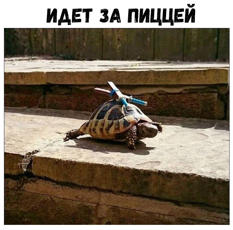 идет и пиццей