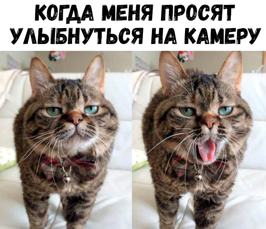 КОГ АА МЕНЯ ПРОСЯТ УАЫБНУТЬСЯ НА КАМЕРУ