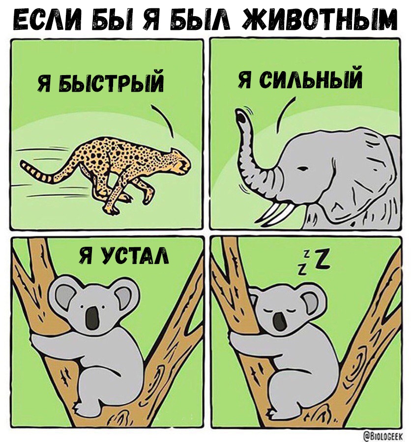 ЕСЛИ БЫ Я БЫЛ ЖИВОТНЫМ я Быстрый я сильный