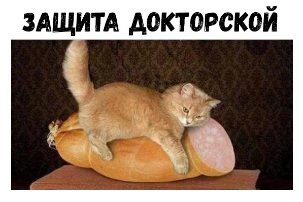 ЗАЩТА докторской