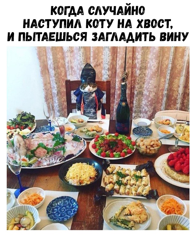КОГДА САУЧАЙНО ндступид коту НА хвост и пытдвшься Агмдить вину