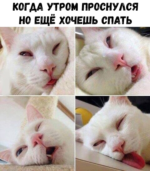 КОГ АА УТРОМ ПРОСНУАСЯ НО ЕЩЁ ХОЧЕШЬ СПАТЬ Ё