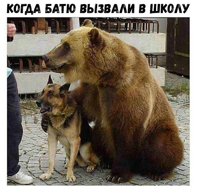 КОГДА БАТЮ ВЫЗВАЛИЦ В ШКОЛУ