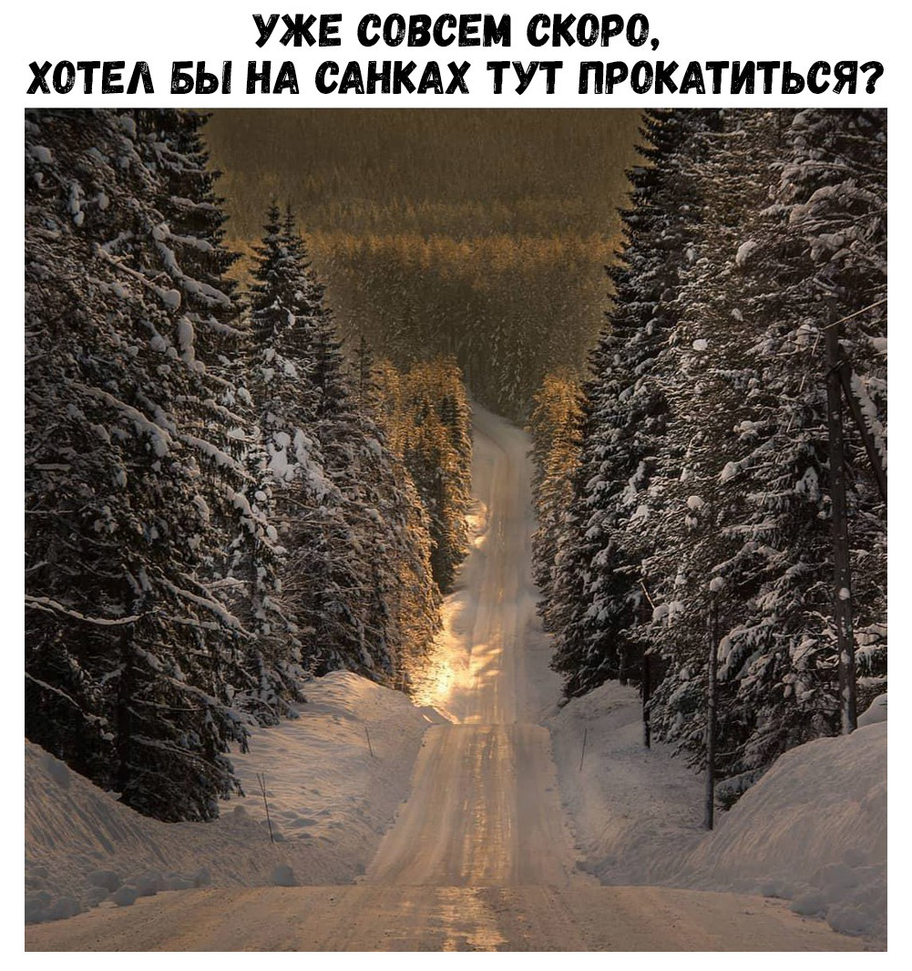 УЖЕ СОВСЕМ СКОРО ХОТЕЛ БЫ НА САНКАХ ТУТ ПРОКАТИТЬОЯ
