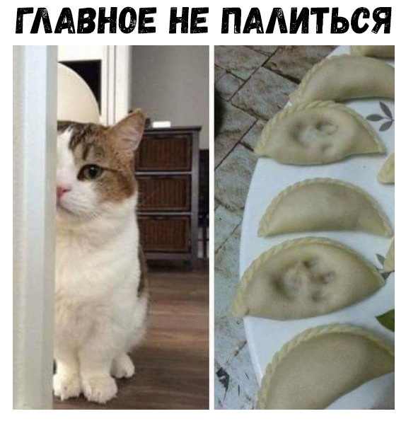 Г ААВНОЕ НЕ ПААИТЬСЯ