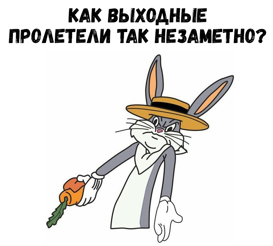 КАК ВЫХОДНЫЕ ПРОАЕТЕАИ ТАК НЕЗАМЕТНО