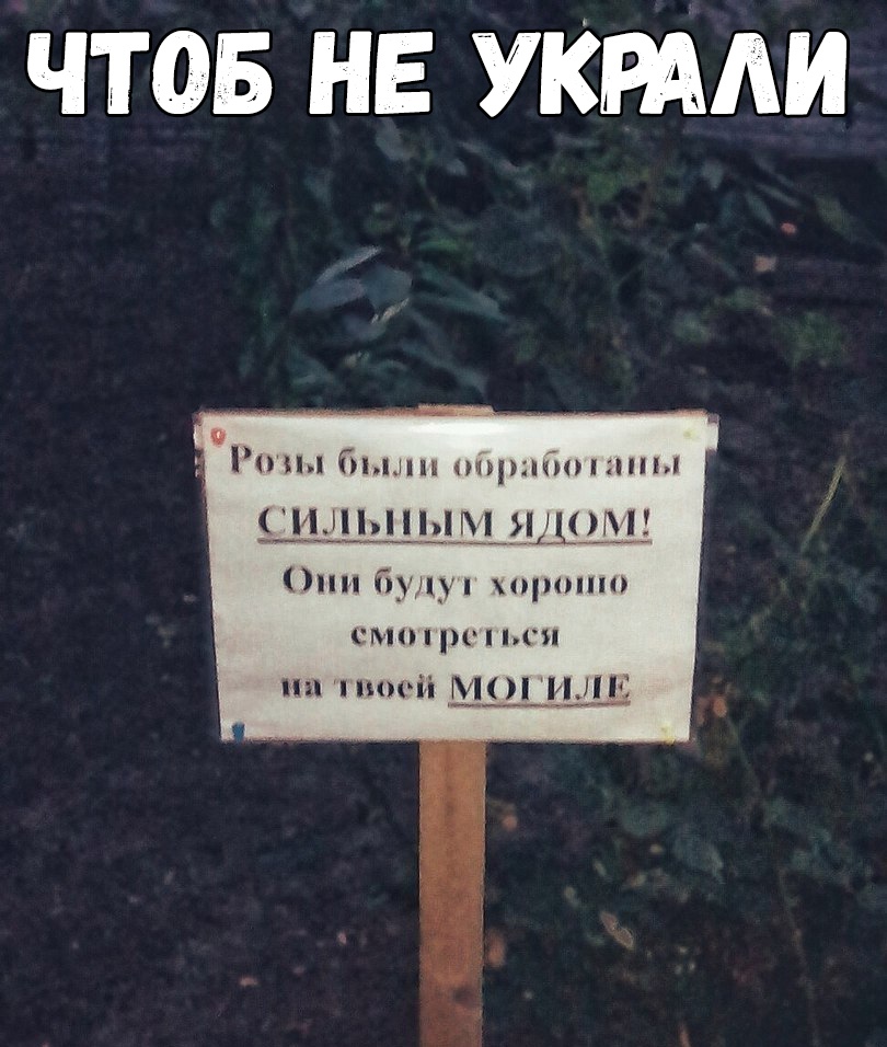 ЧТОБ НЕ УКРААИ Рипл был нърцшпдты пшцп___г__яд_1__ И бул игры смпцп пшя пп пниі М 3__3