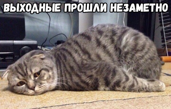 выходные п бймиінЁЗАмвтт а я и
