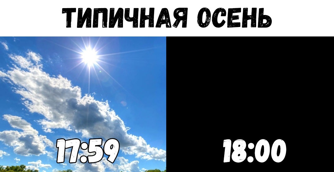 ТИПИЧНАЯ СЕНЬ