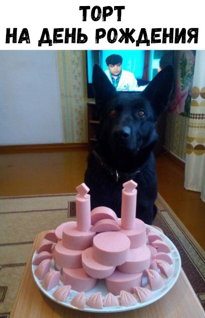 ТОРТ НА ДЕНЬ РОЖДЕНИЯ