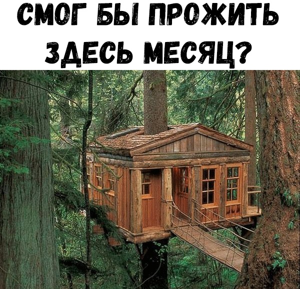 СМОГ БЫ ПРОЖИТЬ ЗДЕСЬ МЕСЯЦ