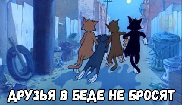 ДРУЗЬЯ В БРОСЯТ