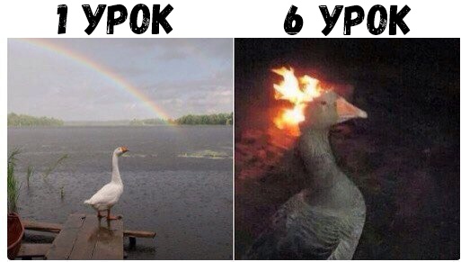 УРОК 6 УРОК