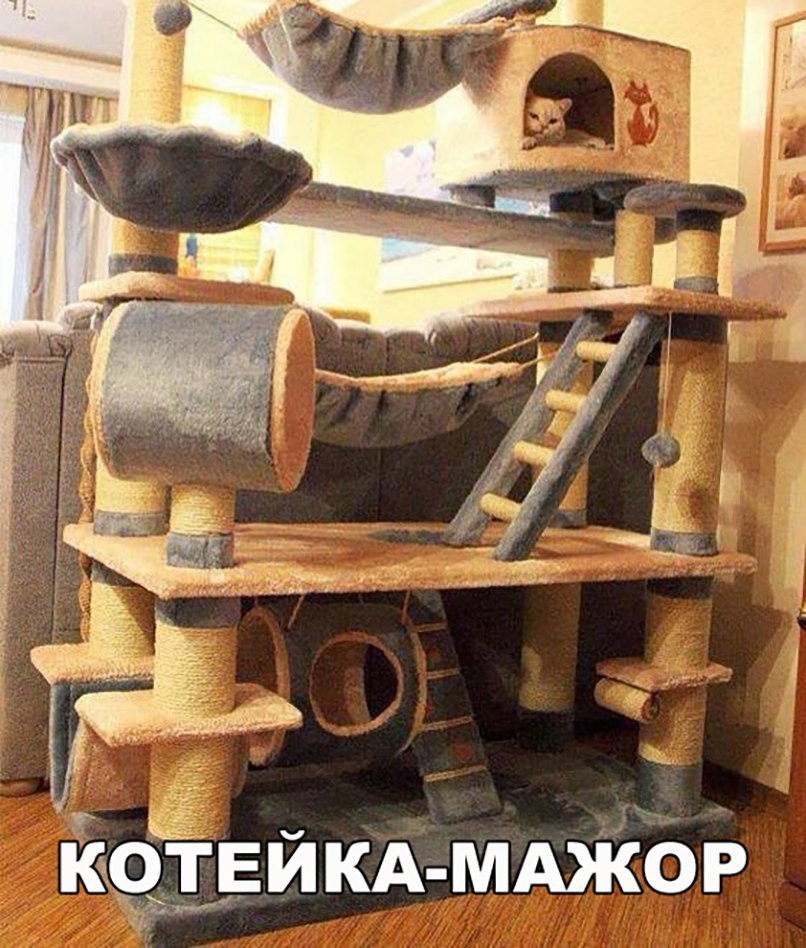 _ йКАмдждбр
