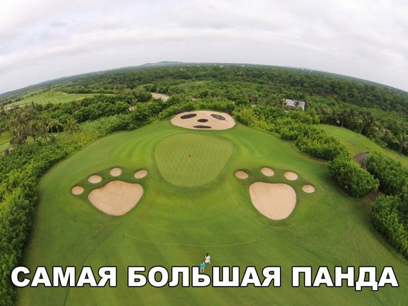 САМАЯ БОЛЁШАЯ ПАНдА