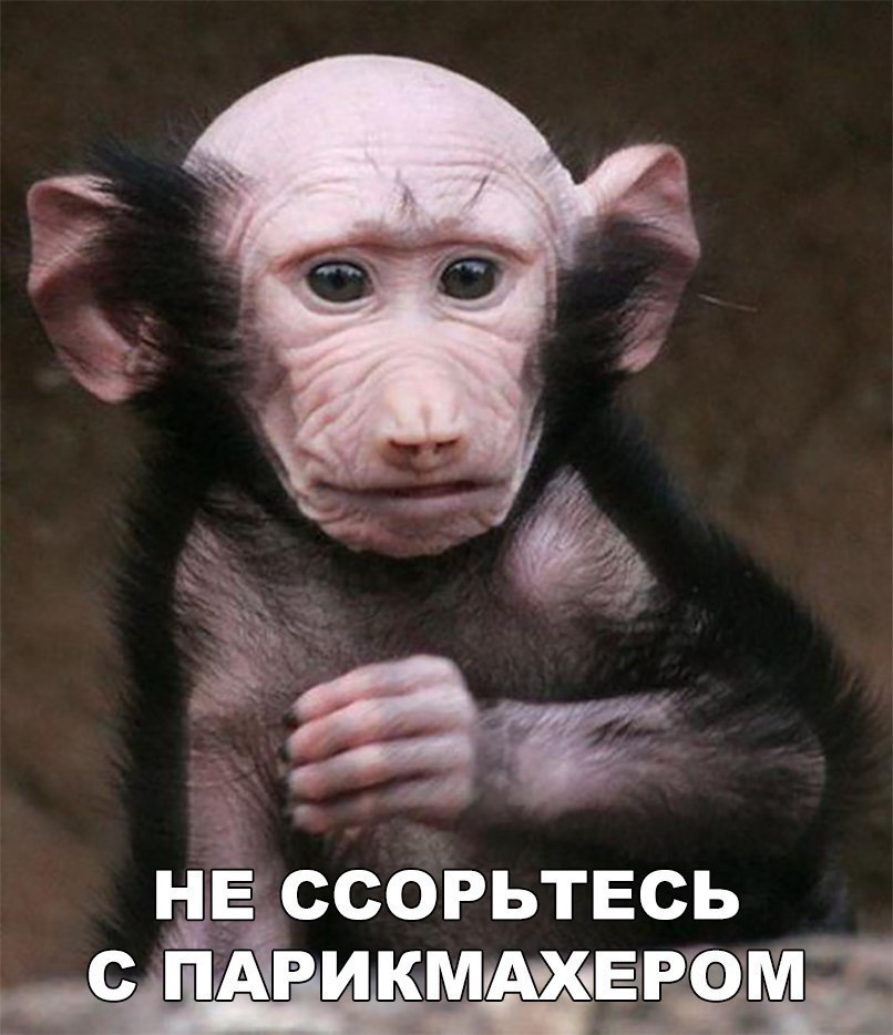 1 г _ 11 Чх 3 _ М НЕЁССОРЬТЕСЬ сп А РИ К МУАХ пёРФЁЕ