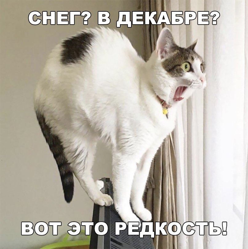 ЁПЁЁКЁ дЕКАБЁд