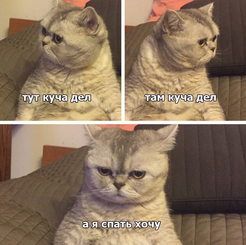 _ пт хечу _