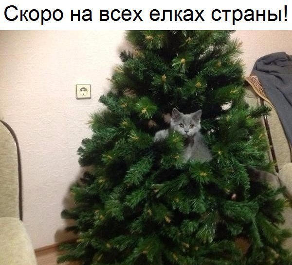 Скоро на всех епках страны
