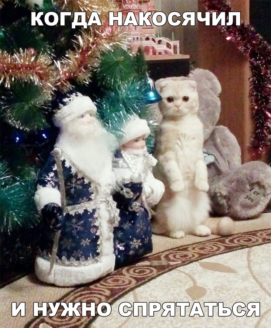 жню эжтдътыж