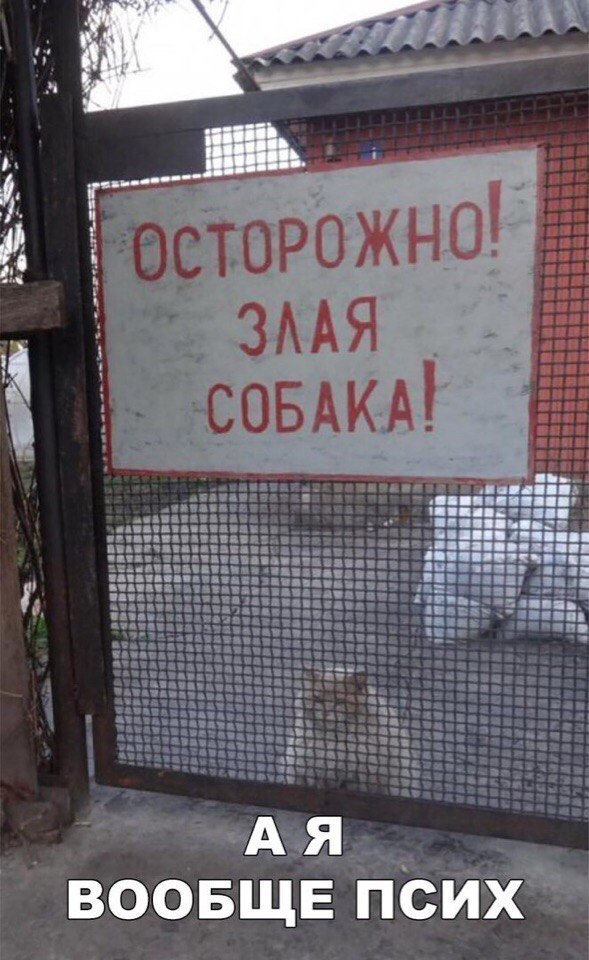воовщв пЙ3Ё3