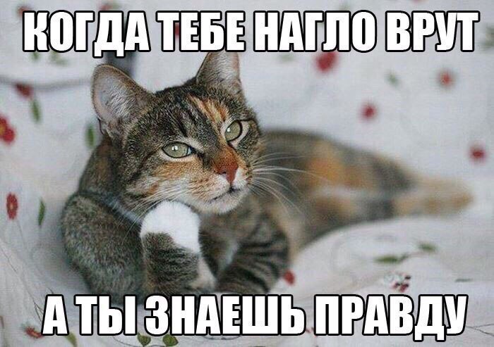 1х _ 3 _ зшндТвь пгдвдм