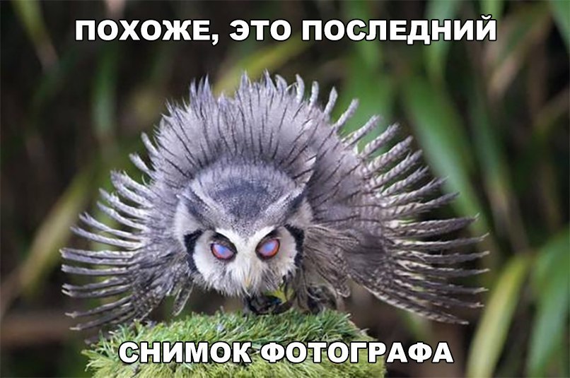 похоже это послвдйий