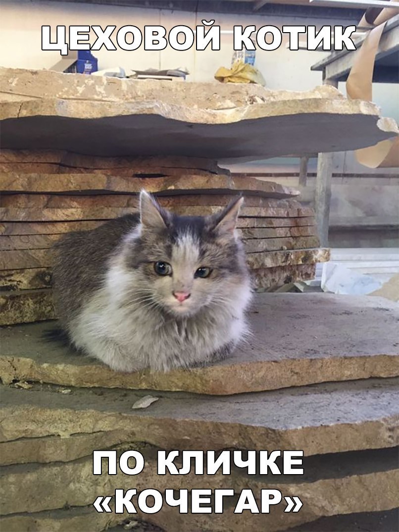 9ПО КЛИЧКЕ КОЧЕГАРіУ