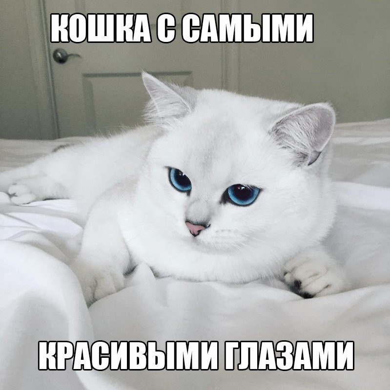 _