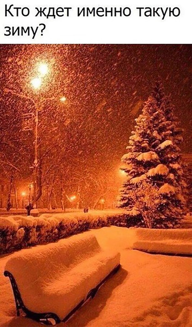Кто ждет именно такую зиму