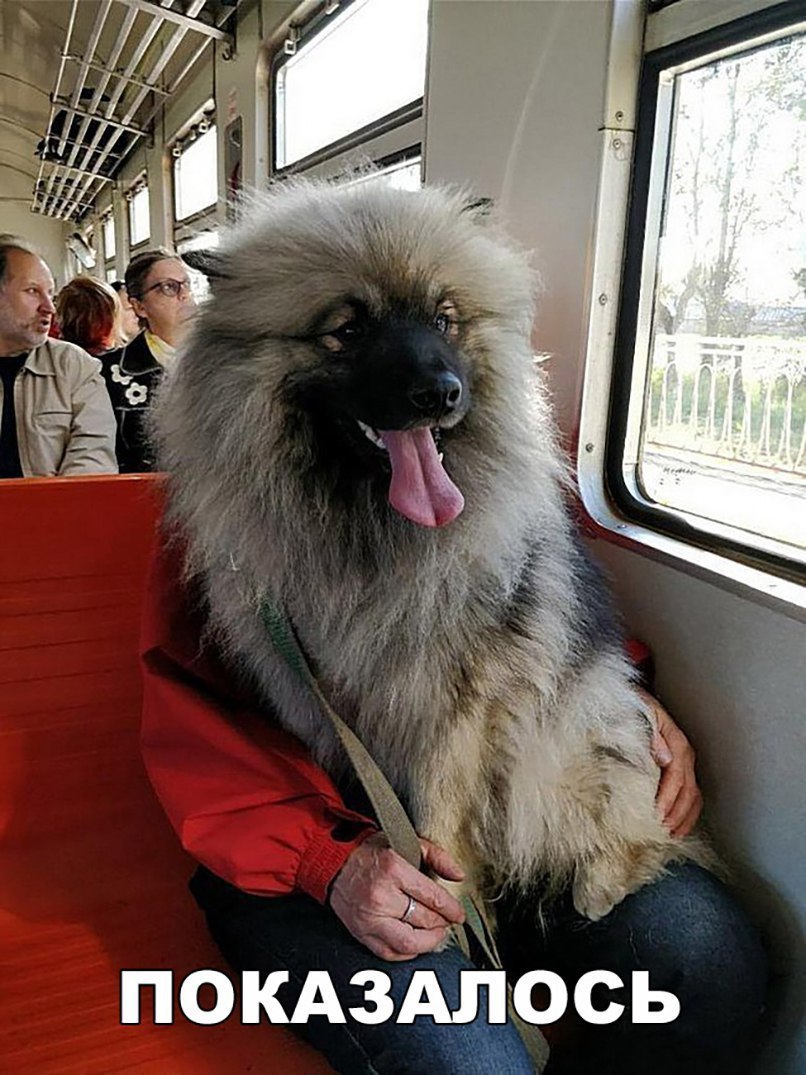 покдздёось