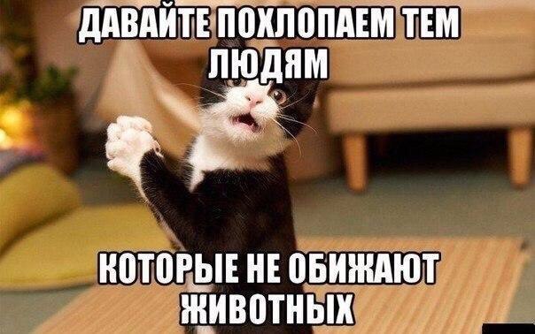 дд ТЕ ПШШВПдЕМ ТЕМ ПЮддМ НПТВРЫЕ НЕ ПБИЖдЮТ ЖИВВТНЫХ _