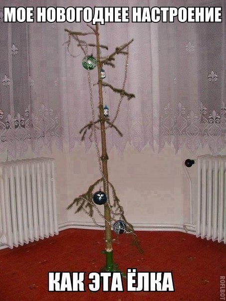 и ШШ ЗТАЁЛНА