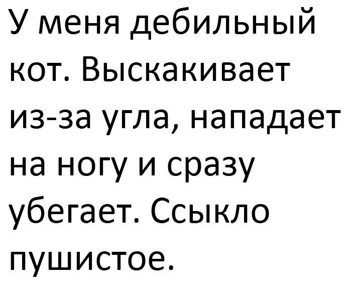 У меня дебильный кот Выскакивает из за угла нападает на ногу и сразу убегает Ссыкло пушистое