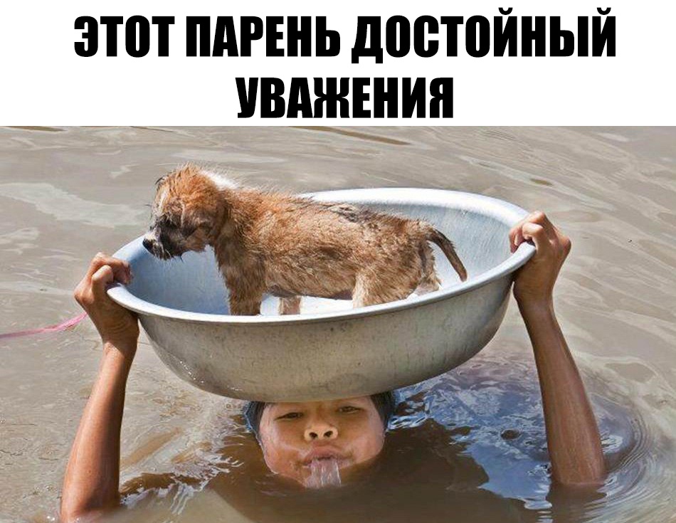 этот ПАРЕНЬ достойный ивщвдип